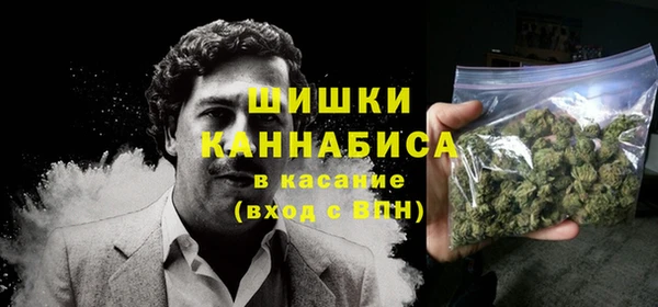гидра Нестеровская